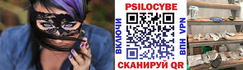 Псилоцибиновые грибы Psilocybine cubensis Нестеров